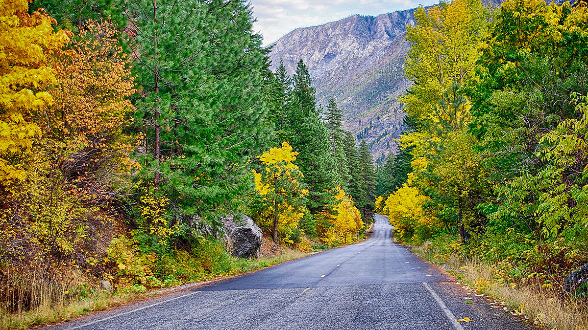 Road Picture.