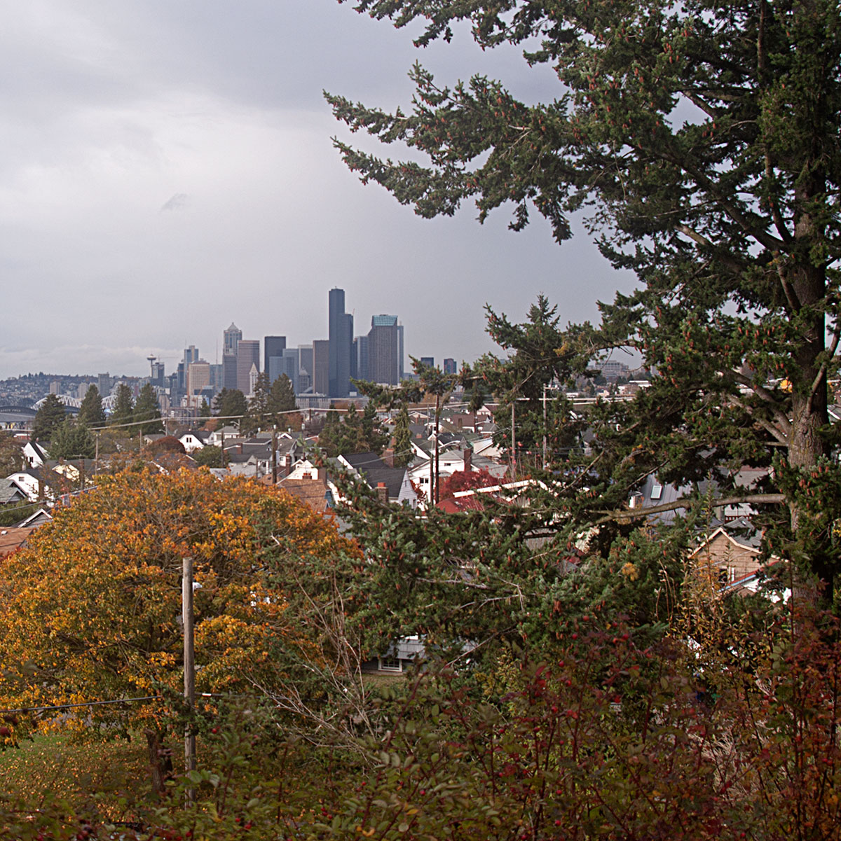 VIew of downtown Seattle from Jefferson Park.