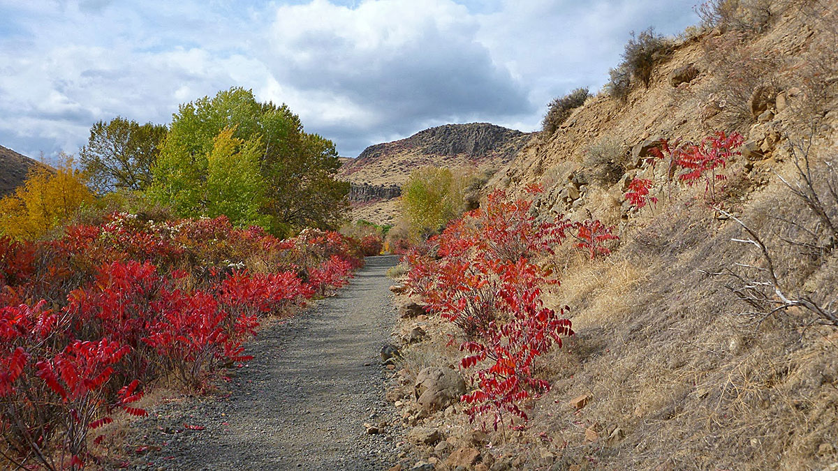 Scenic fall drives from Seattle - Ordinary Adventures