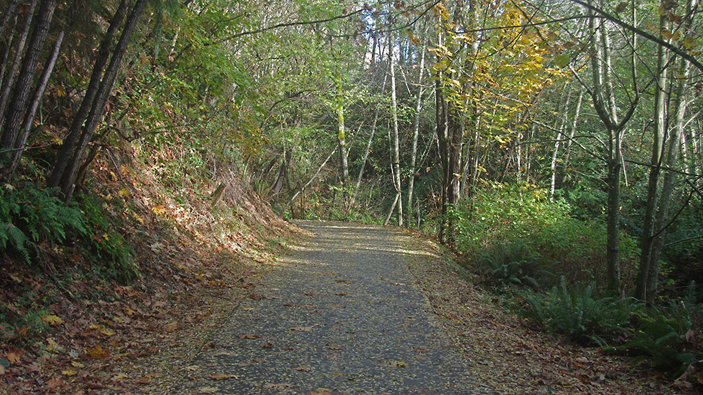 Des Moines Creek Trail