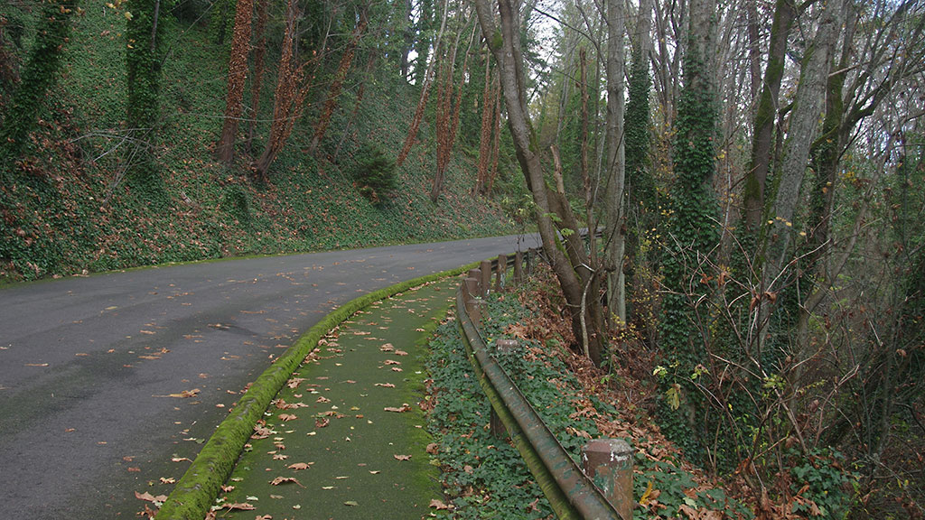 Salt Creek State Park access road.