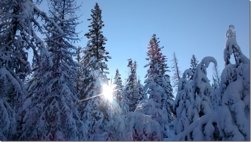 Methow valley affordable cross country skiing sunny day 