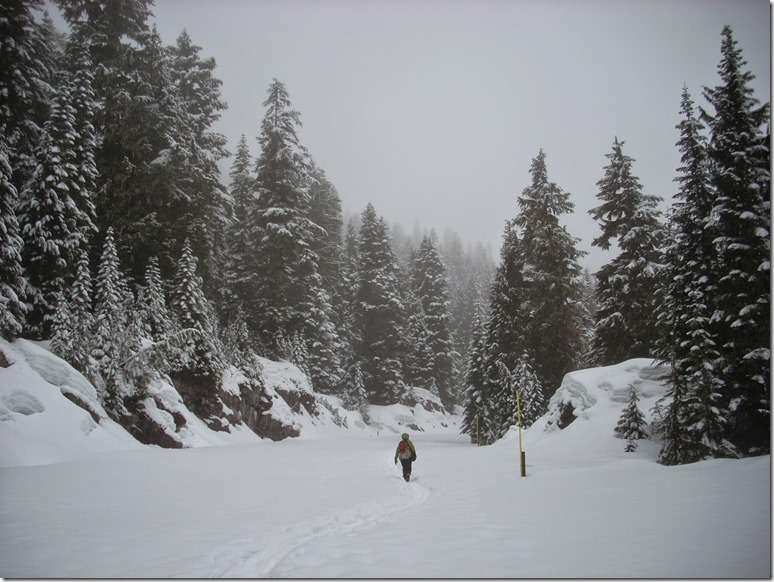 Mowich Lake Mt Rainier in Winter along the Mowich Lake road