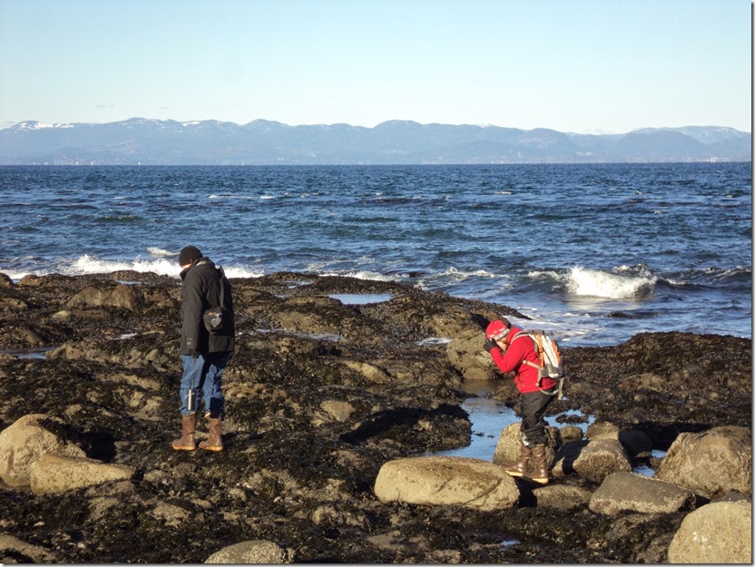 tidepool exploring salt creek recreation area with mountains