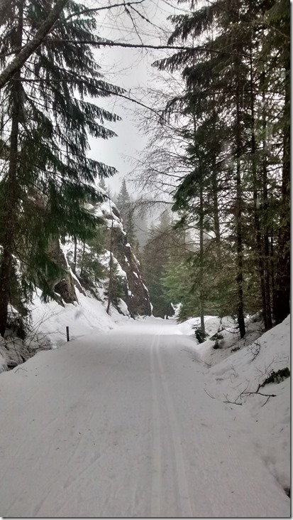 Groomed ski trail in Lake Easton State Park