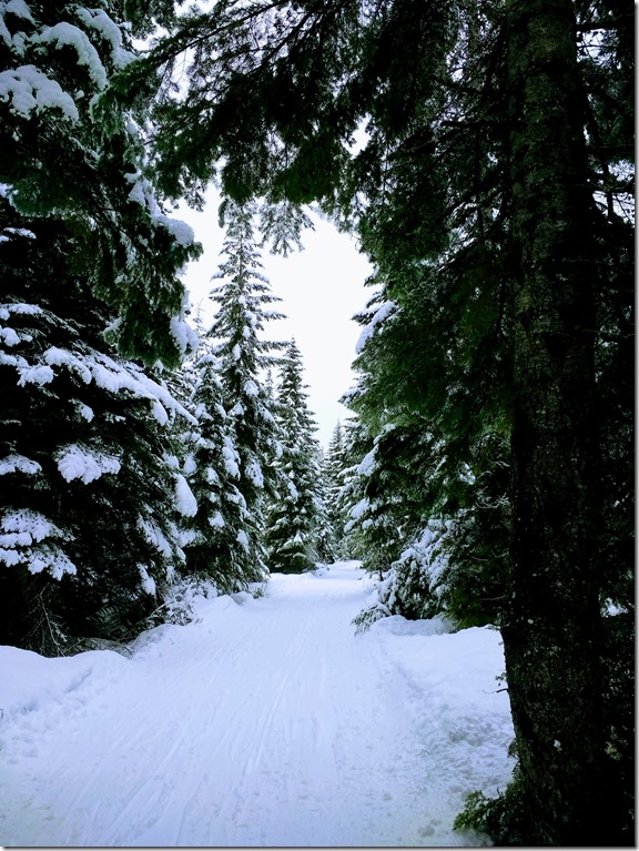 Ski trail in Crystal Springs sno park