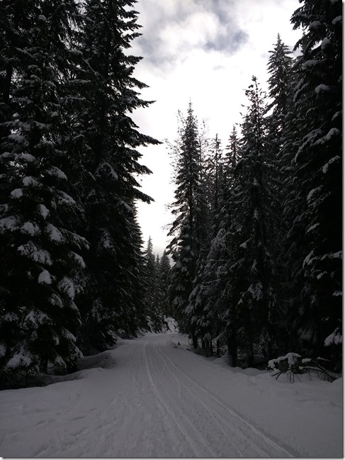 Iron Horse Trail between Whittier Tunnel and Lake Easton