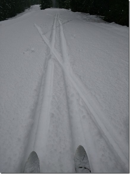 Two sets of ski tracks on the Iron Horse trail east of the Whittier Tunnel