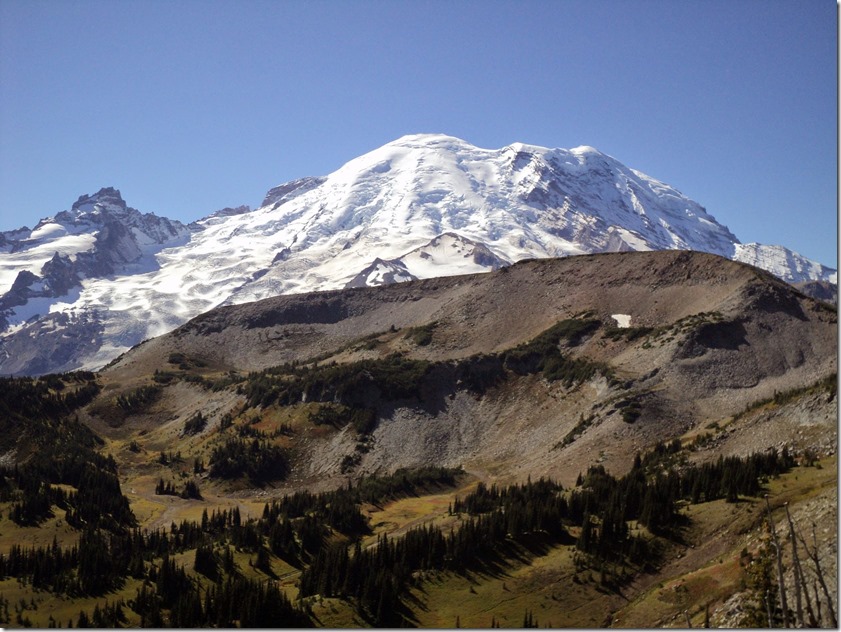 Mt Rainier rises behind a closer gravel and tree spotted meadow on a sunny day