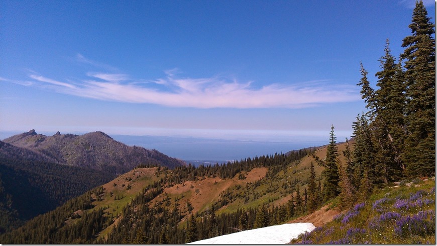 Trail with distant mountains and water with purple wildflowers and a remaining snow patch in Olympic National park