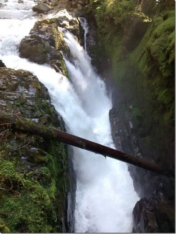 A waterfall with several separate cascades flows over steep rocks surrounded by green undergrowth in Olympic National Park