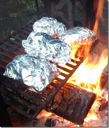 Buffalo Chicken Foil Dinner Campfire