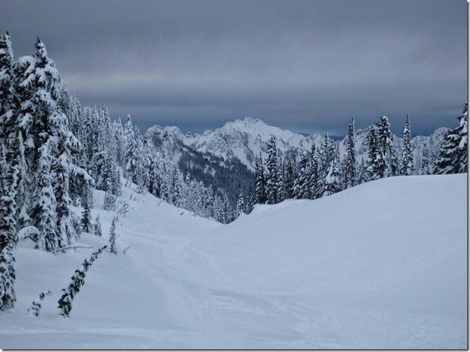 Paradise Mt Rainier Tatoosh views snowshoeing