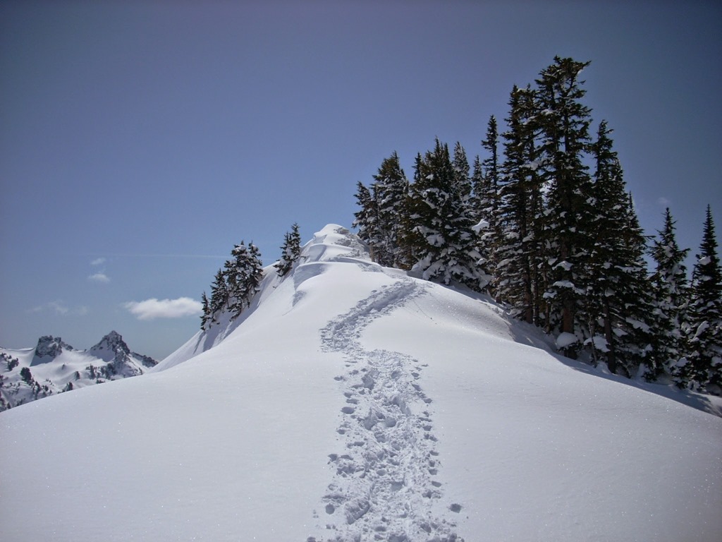 winter day trip to Mt rainier snowshoeing alta vista paradise