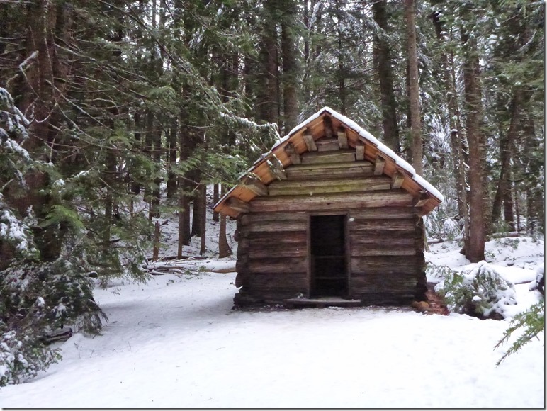 winter day trip to mt rainier longmire