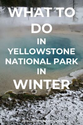 A colorful hot pool surrounded by snow. Text says what to do in Yellowstone National park in winter