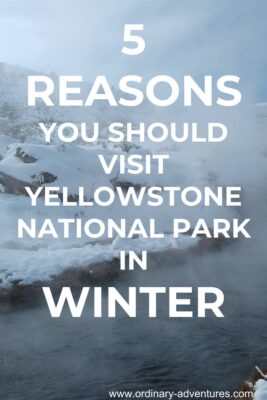Steaming river flows through snow covered rocks and hills. Text reads 5 reasons you should visit Yellowstone National park in winter