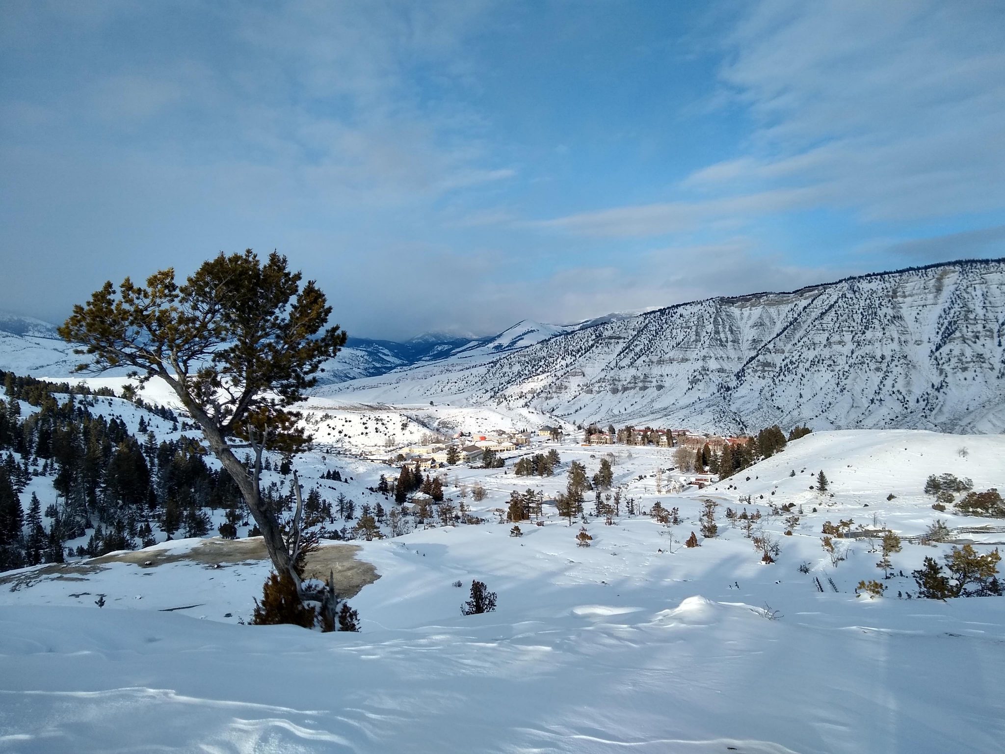 Snowy landscape with distant mountains, meadows and a few trees