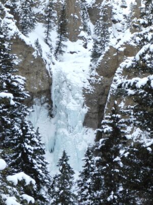 Frozen waterfall covered in snow surrounded by snowy trees