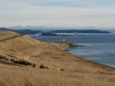 A field along a beach with a lighthouse and distant islands and mountains