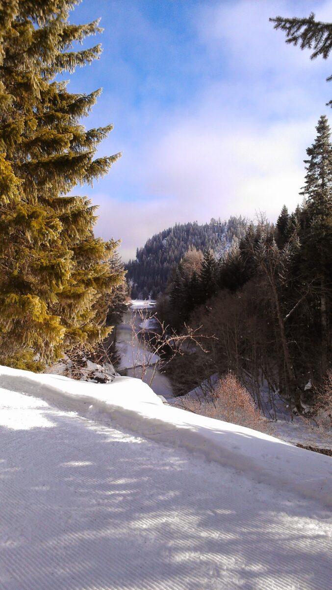 A river flows through a snowy forest on a sunny day