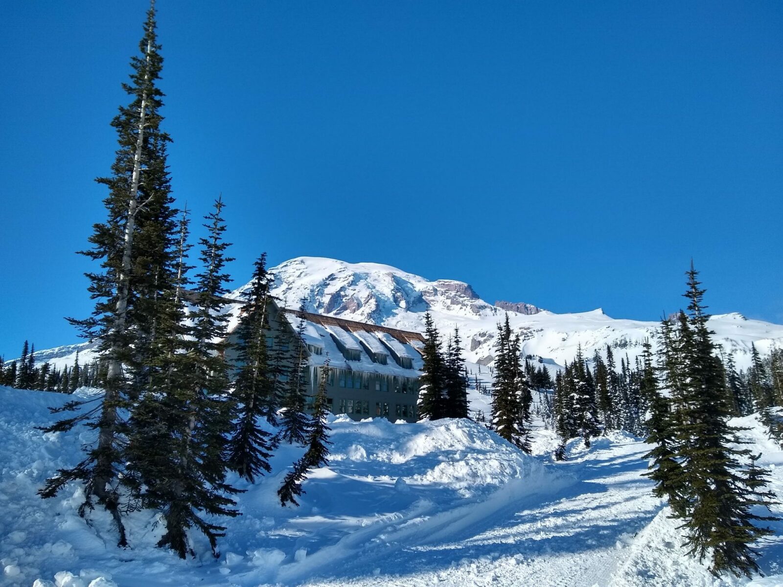 Large snow covered mountain with a  historic lodge in the foreground and evergreen trees with deep snow on  a sunny day. Text reads: Spring snowshoeing Mt Rainier