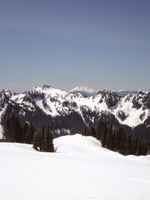 Snowy mountains and forest, a larger snowy mountain is in the background