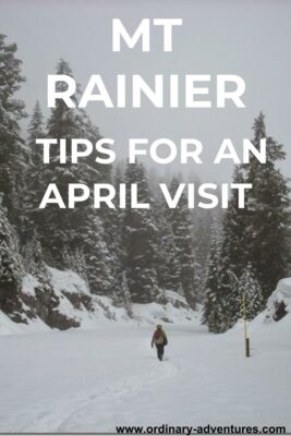 Woman walking on a snowy road through the forest on a snowy day. Text reads Mt Rainier tips for an April visit