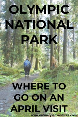 A woman with a backpack walking on a trail through a forest of tall trees and mossy undergrowth. Text reads: Olympic National Park, where to go on an April visit