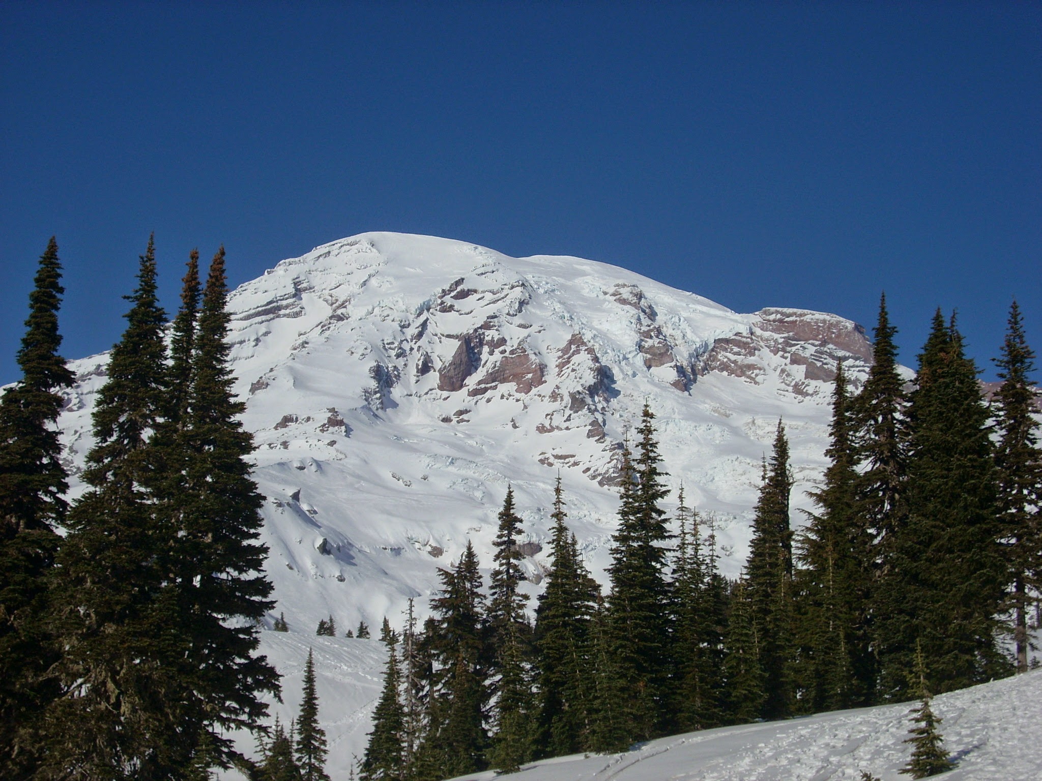 A large snow covered volcano with evergreen trees in the foreground
