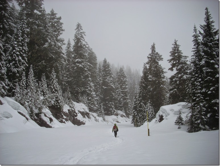 Woman walking on a snowy road through the forest on a snowy day