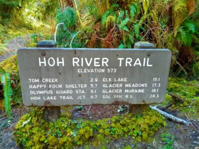 A trail sign for the Hoh River trail showing the mileage to various points surrounded by ferns and moss