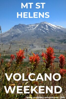 A volcano against a blue sky with red wildflowers in the foreground. Text reads: Mt St Helens Volcano Weekend