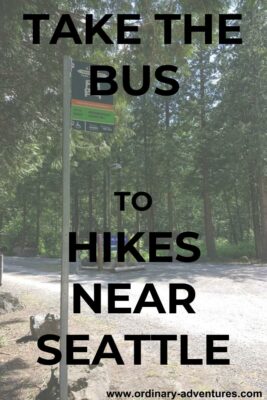 A bus stop at a trailhead in the forest