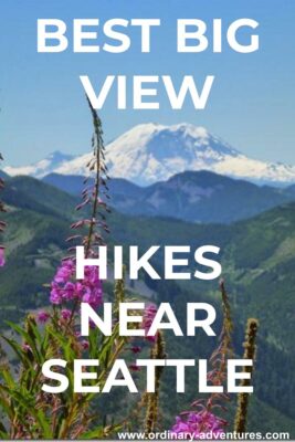 Mt Rainier in the background with high green mountains and purple flowers in the foreground. Text reads: Best big view hikes near Seattle