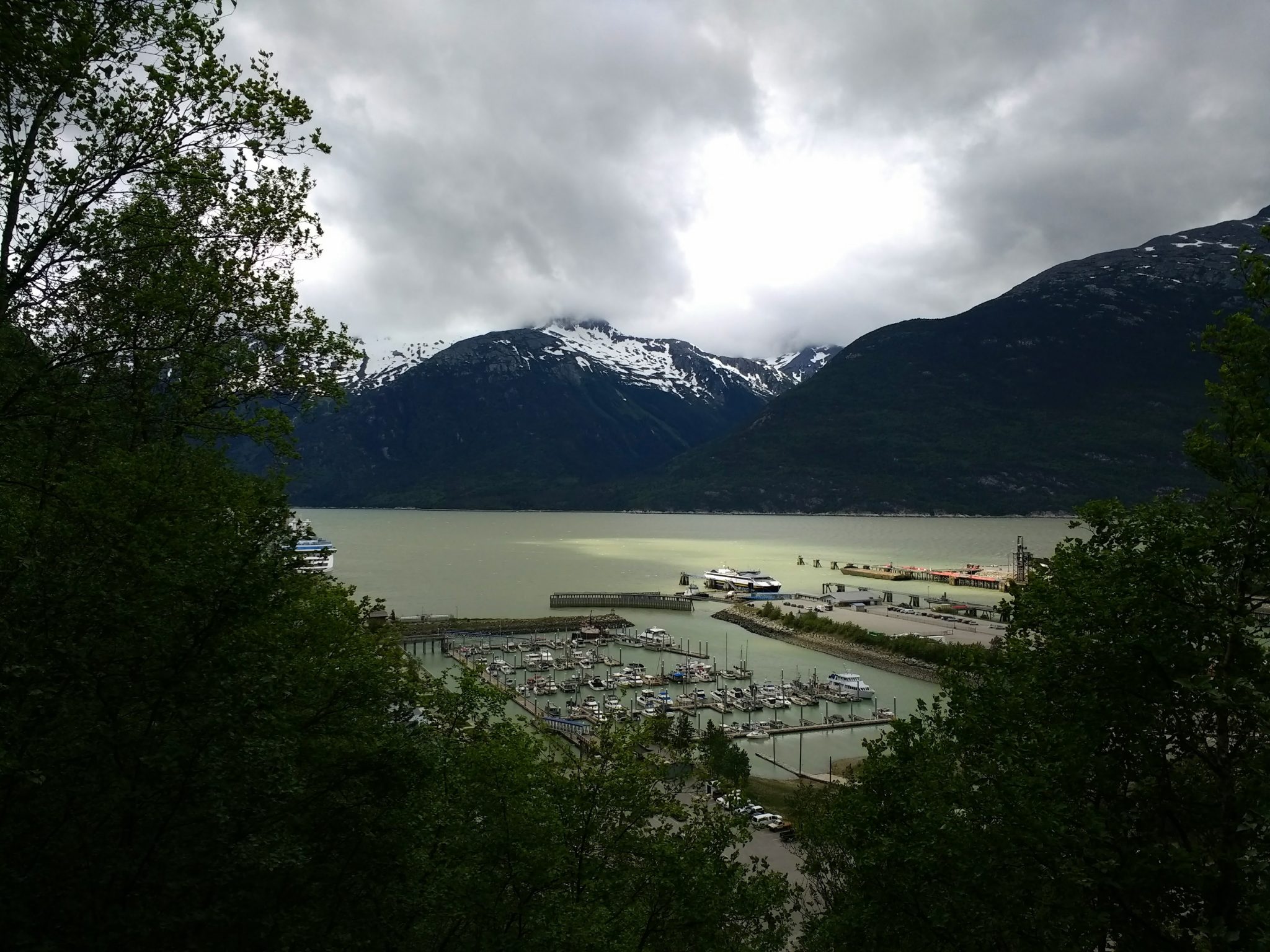 A harbor with snow capped mountains in the background and trees in the foreground