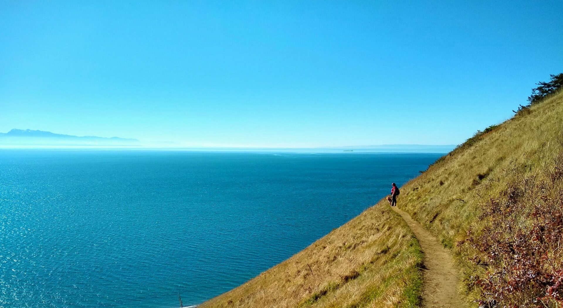 a hiker on a trail along a bluff next to an expanse of blue water on the Ebey's Landing trail, one of the best hikes in Washington