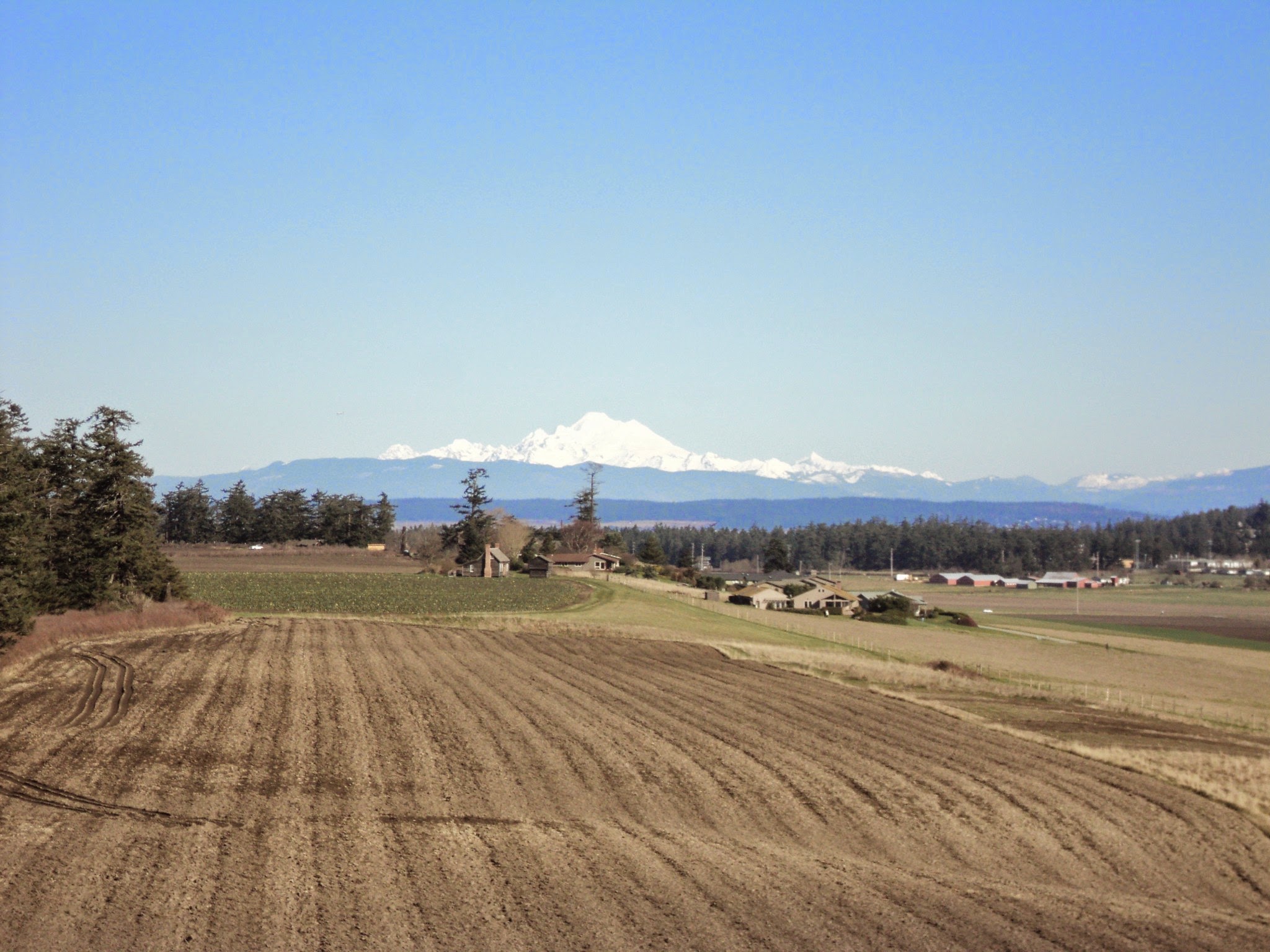 A brown field waiting to be planted in the foreground, with some buildings and a large snow covered mountain in the distance