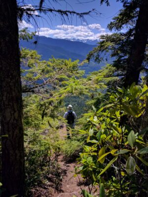 A person looks out across a forested valley towards distant mountains. The hiker has a hat and a backpack and is seen through nearby bushes.