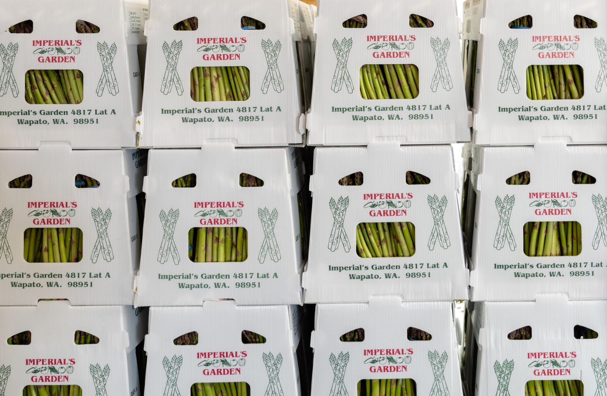 Boxes full of asparagus are stacked in a warehouse, boxes are white and say "Imperial's garden, Wapato, WA"
