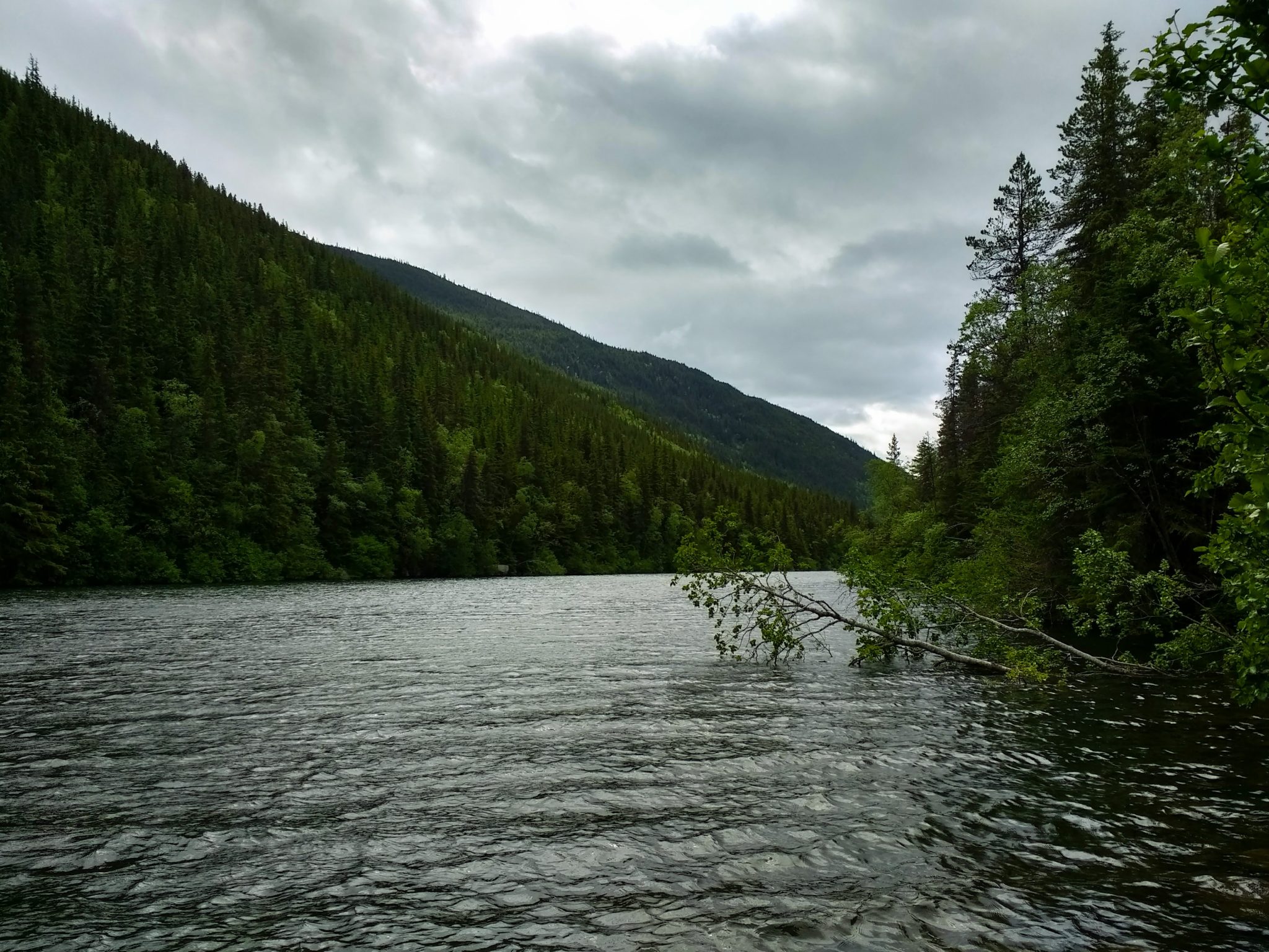 A lake surrounded by forested hills