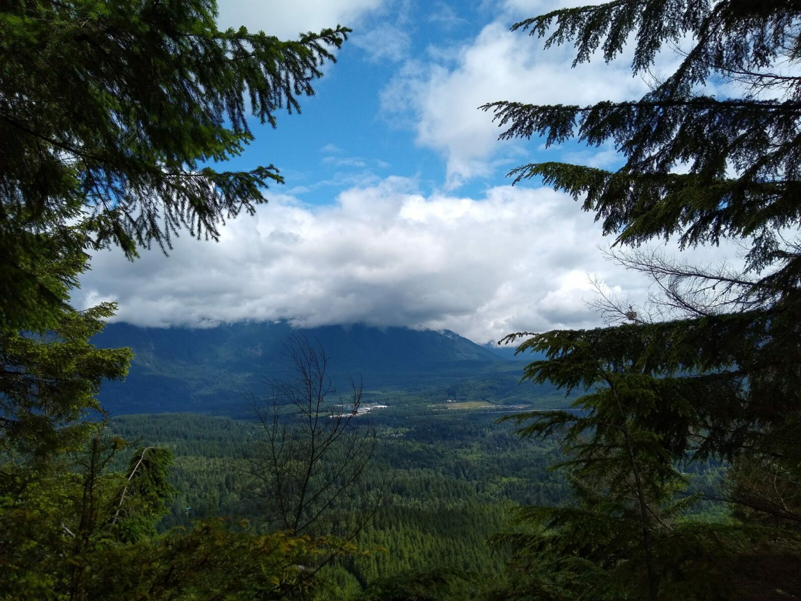 One of the best hikes near north bend, cedar butte has  view of rattlesnake mountain across the valley. In the valley are forested evergreen hills that are framed by evergreen trees in the foreground