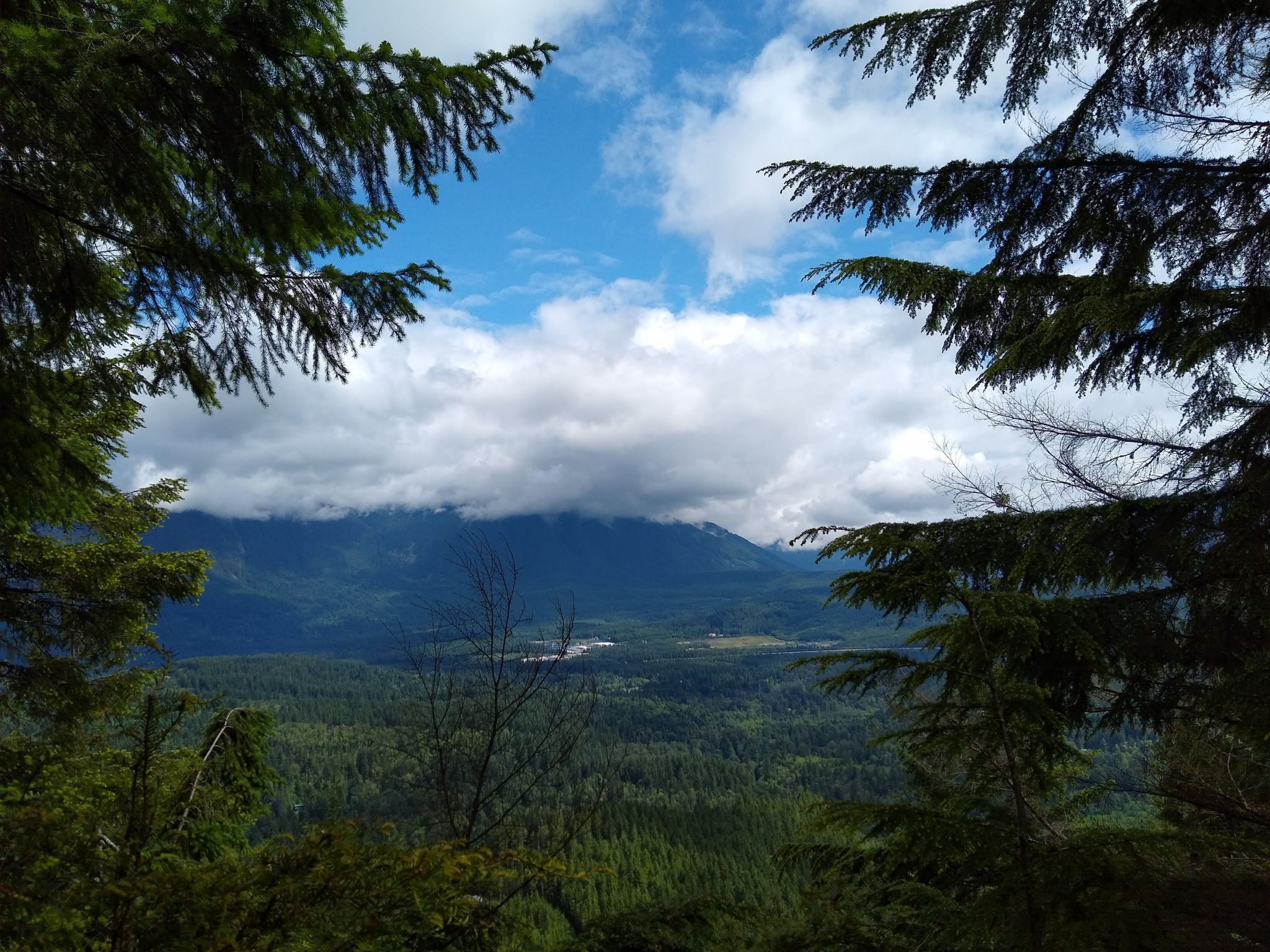 A view across a forested valley from Cedar Butte hike summit. It's a cloudy day with a bit of blue sky, and there are larger evergreen trees in the foreground