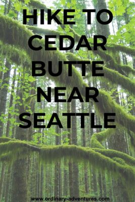 Cedar Butte Hike is a trail through a mossy green forest to a view. The trail has straight, young trees and arches of moss. Text reads: Hike Cedar Butte near  Seattle