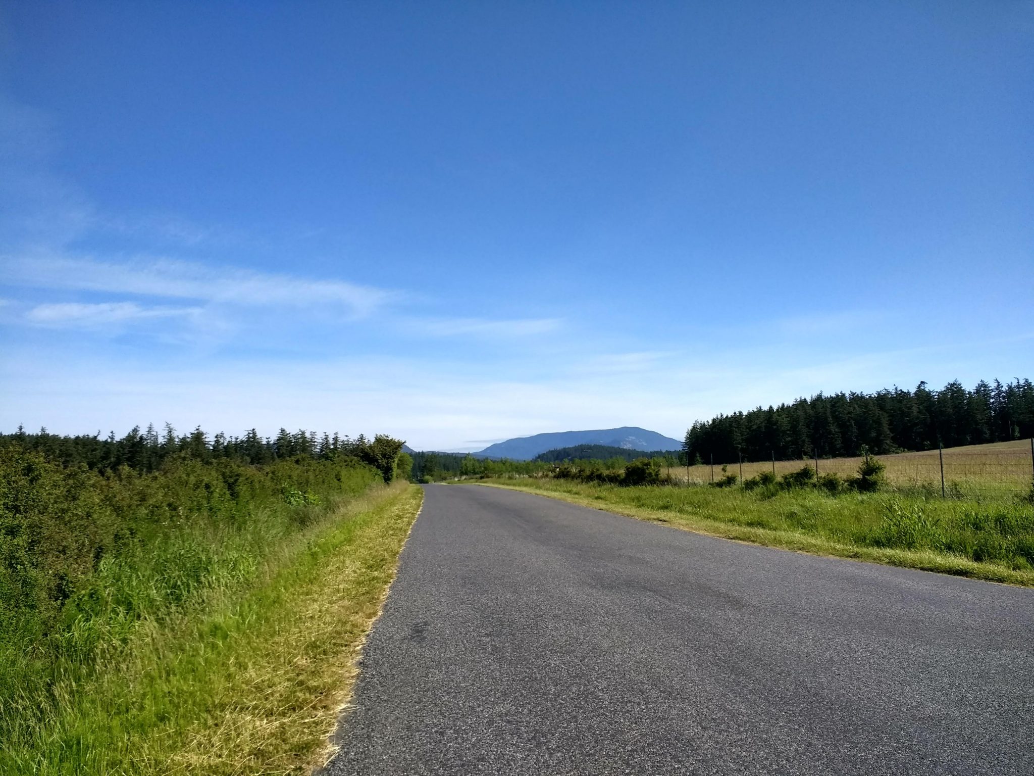 An empty country road goes between two fields. There are evergreen trees in the background