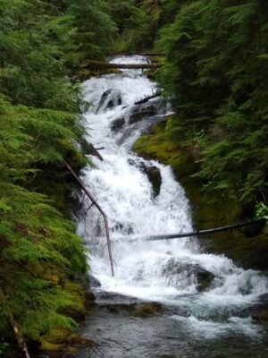 A waterfall cascades down rocks through the forest