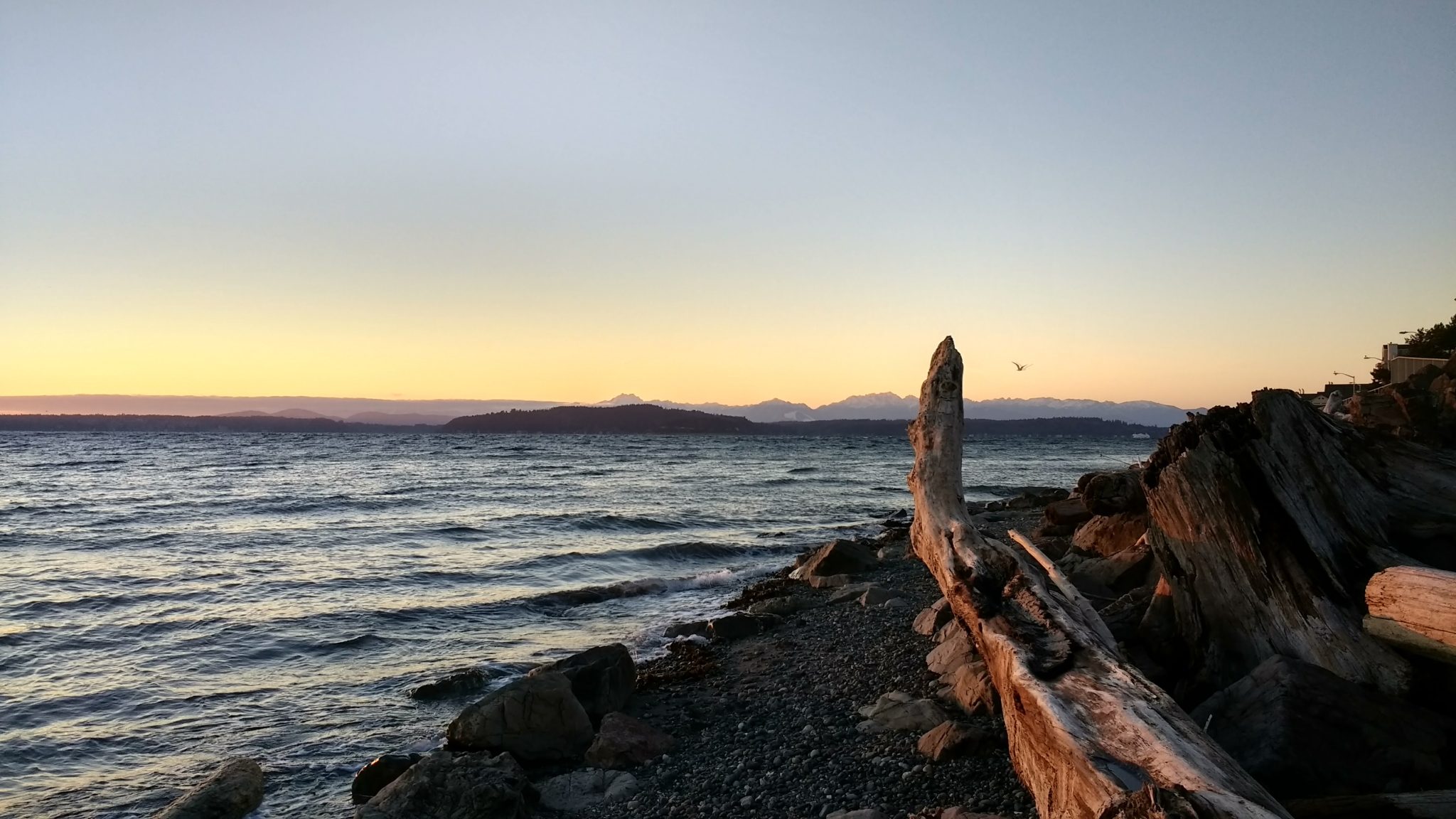 A sunset at the beach with mountains in the distance. A piece of driftwood is in the foreground.