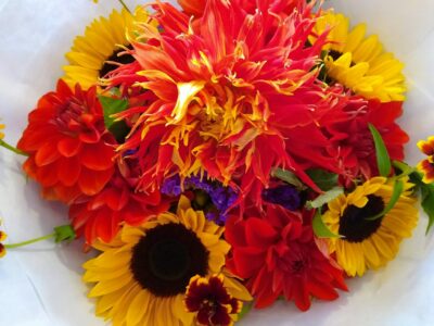 a bouquet of flowers in bright colors and different shapes