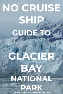 The blue of a glacier meeting the sea is visible behind the ice chunks floating in the bay, and a large snowcapped mountain is behind it on a visit to Glacier Bay National Park