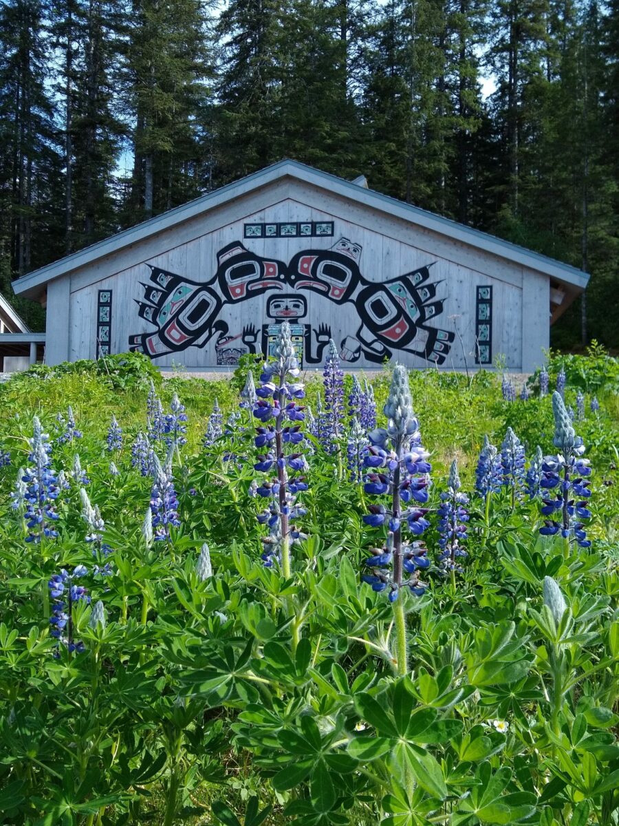 A Tlingit house screen on the side of the Huna Tribal house in Bartlett Cove. Purple lupine wildflowers are in the foreground and the house is surrounded by evergreen trees